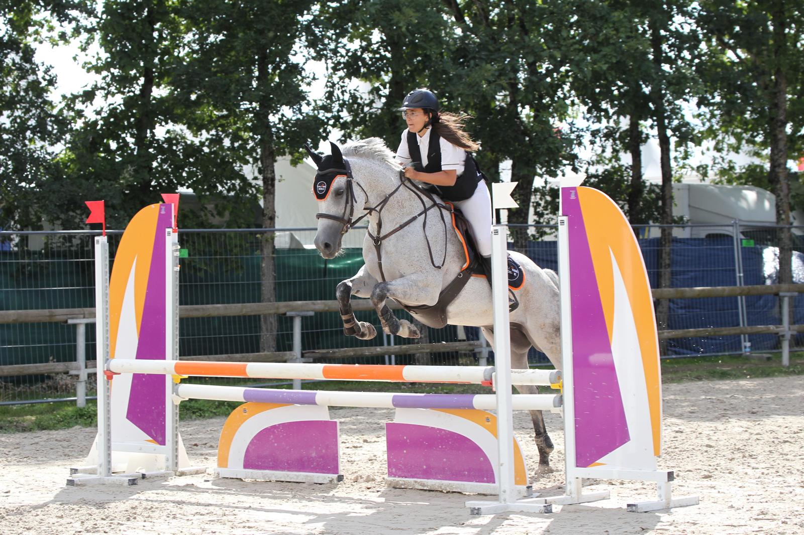 Équitation éthologique